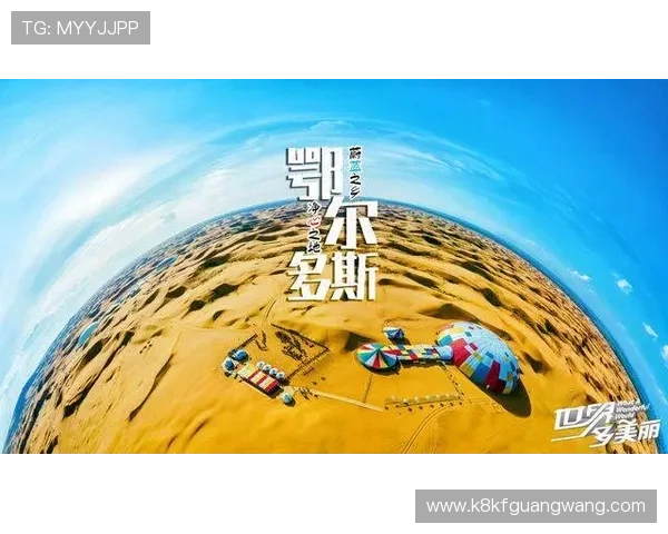 提升体育竞猜体验：K8体育娱乐平台的专业分析工具与实时数据支持介绍